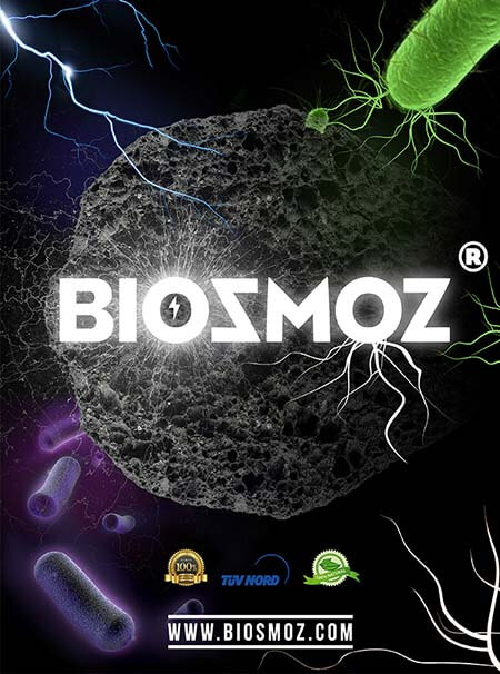 BiosmoZ